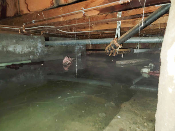 Best Fire Damage Restoration  in De Kal, TX