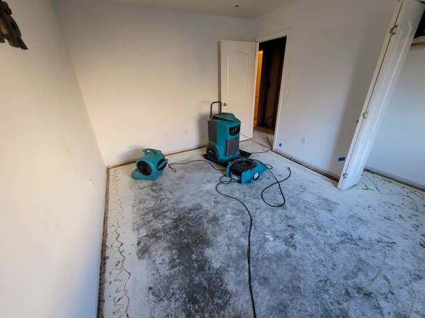 Best Ceiling water damage repair  in De Kal, TX