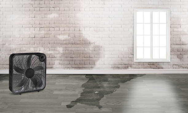 Best Sewage cleanup and water damage restoration  in De Kal, TX